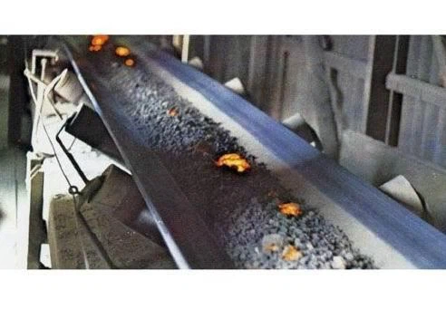 Profession High Temperature Resistant Conveyor Belt